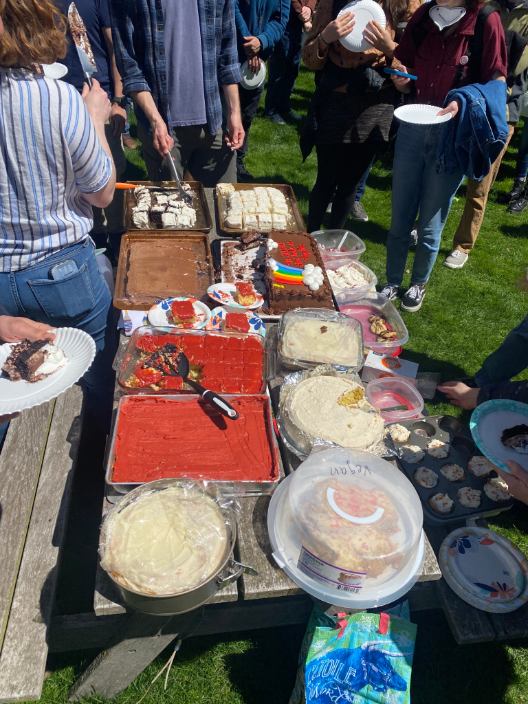 An array of sweet treats on a picnic table to celebrate the union break with union cake. 